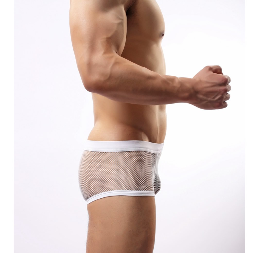 Male Sexy Lingerie Mesh Shorts Boxers See-through Translucent Underwear Sheer Brief 